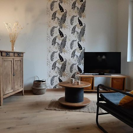 Louhans Les Petites Arcades Avec Ses Deux Appartements Cote Arcades Et Cote Cour エクステリア 写真