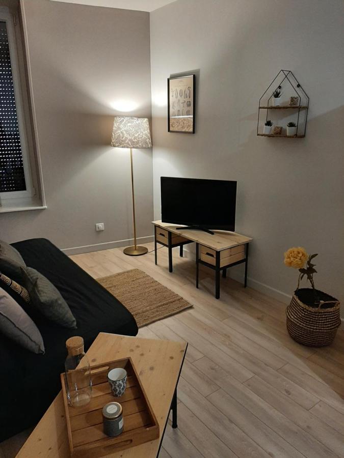 Louhans Les Petites Arcades Avec Ses Deux Appartements Cote Arcades Et Cote Cour エクステリア 写真
