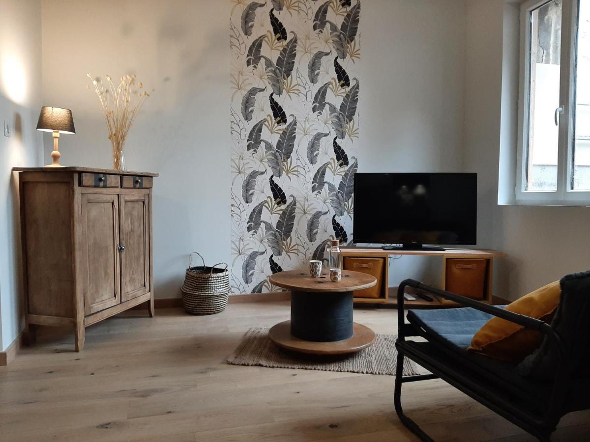 Louhans Les Petites Arcades Avec Ses Deux Appartements Cote Arcades Et Cote Cour エクステリア 写真